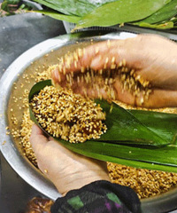 С����Ϊ�˷����� ����Ȧ�����ֻ����