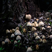 ��Ģ���ж���