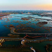 ������ʪ��