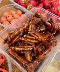 �̳�±ζ�������������Ļ���ѼҲ������