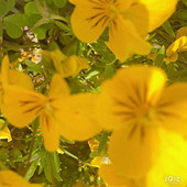 ·�ߵ�С�ƻ�