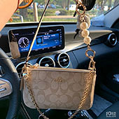 ���������CoachС��