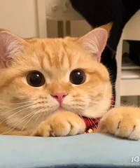 89�꺣������MM Ѱ��178�߽�����ͷ�������ŵģ�