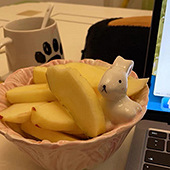 �ɿɰ����Ĳ;�