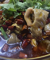 �������������������ڰ�������ʳ��� ��