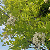 ��ů�˼�������