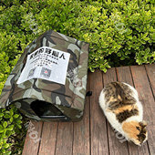 С���а���һĻ��