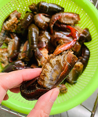 ����ʮ����С��Ϻyyds���������ط���