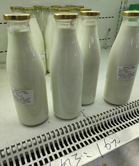 ���ſںȵ����ʣ�ԭ��������ţ��