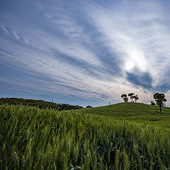 ��ҵ�ɭ�ֹ�԰������