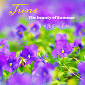 ����һ�껨��