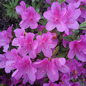 ��ס22��Ĵ���