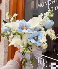 �Ļ�ɴ���õ������������ˡ��������Ϸ���������Ĳβ�