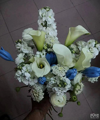 �Ļ�ɴ���õ������������ˡ��������Ϸ���������Ĳβ�