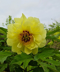 30�꾭�������� �ж����鷿 ����8k˫�� ѰŮ��