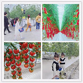 ��һ���޳��ι���