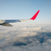 ����һ�� ��������