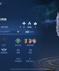 ��һ�������ߡ�ֻ���渨�� û�������߿��ܴ�������