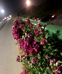 93�꺣����ҵ�� �޲����Ⱥ�GG ϣ���������ʦŮ��