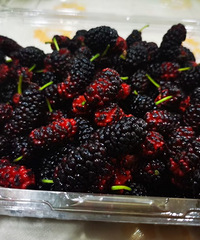 �������� ��θ�����