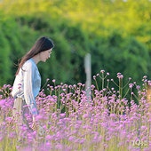 ���ĺδ��޷���