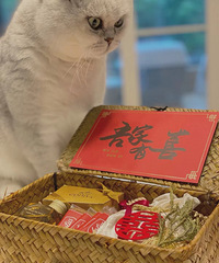 ��֯������� ��ȥҰ�͵�ʱ���������װ�óԵ�Ҳ���ʺ�����