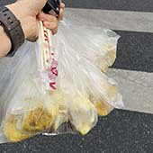 ��ͬ�´��ڵ�