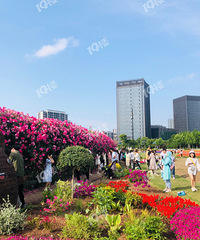 Ҧ�ҵ��������� �����������ֻ����Ź�����ȹ�ӵ���͵�ģ�