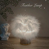 ������װ�εĿ���