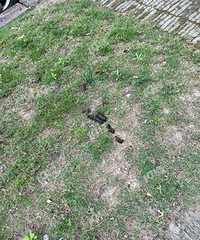 [����]����·����ʮ��һʺ���������������ܲ��������㡭