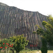 ��Ӱ���� ��Ҷ��˪