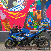 ����֮������ľССR