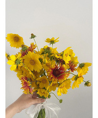 300Ԫ+ get������ɴ����������̫������