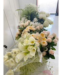 300Ԫ+ get������ɴ����������̫������