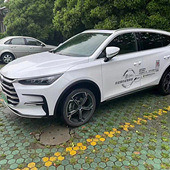 �Լݱ��ǵ���DM-i