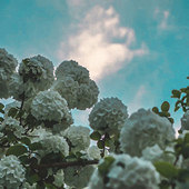 һ���ļ�������ļ���