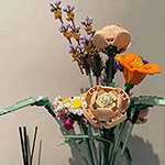 ��Լ����͹�Ը�Ʒζ