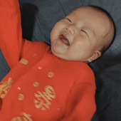 ����ı���̫��������