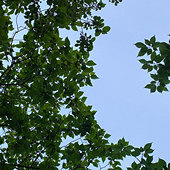 ������������֡��ǰ