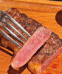 �����ڷ�����԰�������� Լ����ѡ��