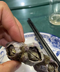 ����ʲô�����أ�