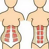 ����ֱ������