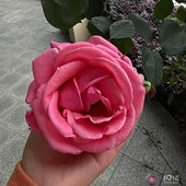 ��ѧΧ��ĵط���