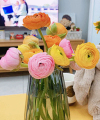 ƴ��� ��������ҵı����򻨻��أ�