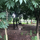 ֱͦͦ�Ĺ���