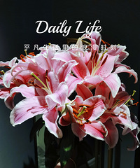 �˼��������ʯ �Ҽ������ ������Ӯ�� Ͷ�����õ�һ�ּ��£�