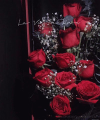 ����ϲ����Ҽ�֤��ͳ��ڷ�Ʊ�������ҵ�����