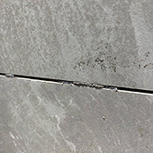 �����ש��϶�淳��