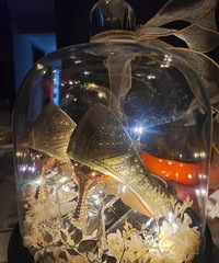 ������Ь������������������Ϸ������