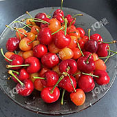 ɽ����̨��ӣ��